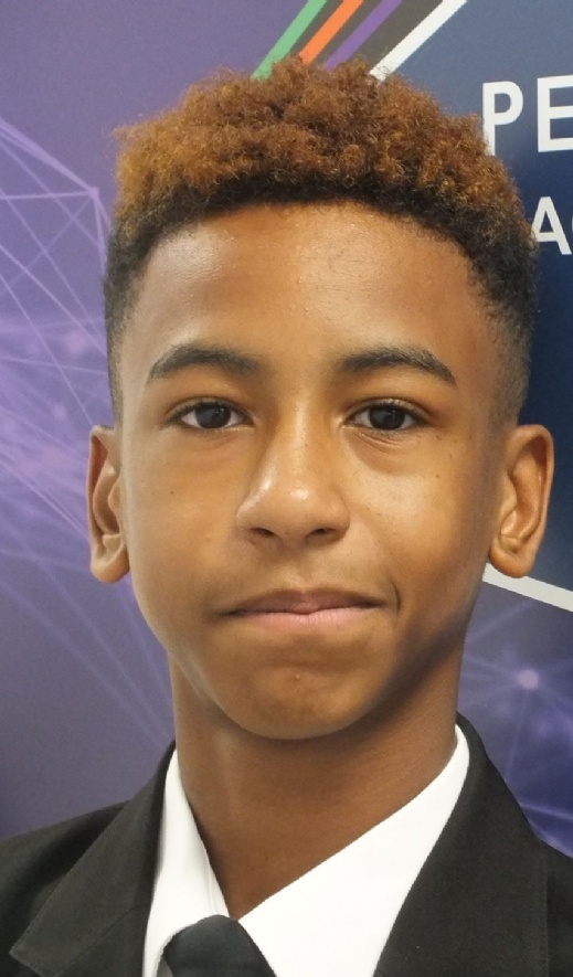 Pegasus high school image